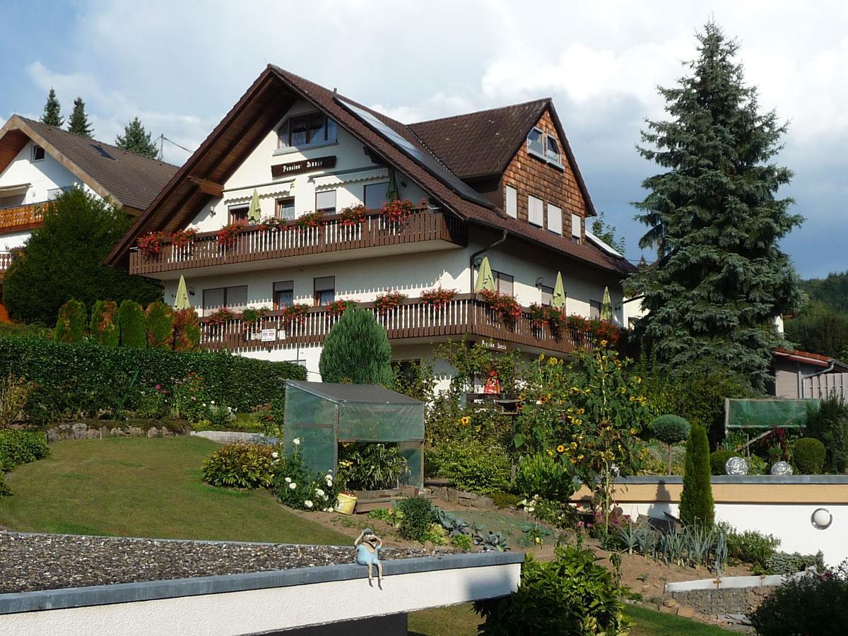 Pension Doris Ohlsbach Экстерьер фото